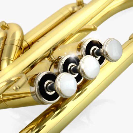 Alf Holden TRM-150 Bb trąbka