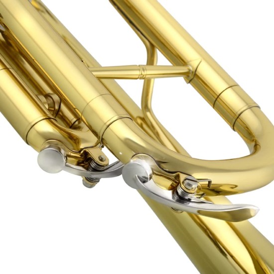 Alf Holden TRM-150 Bb trąbka